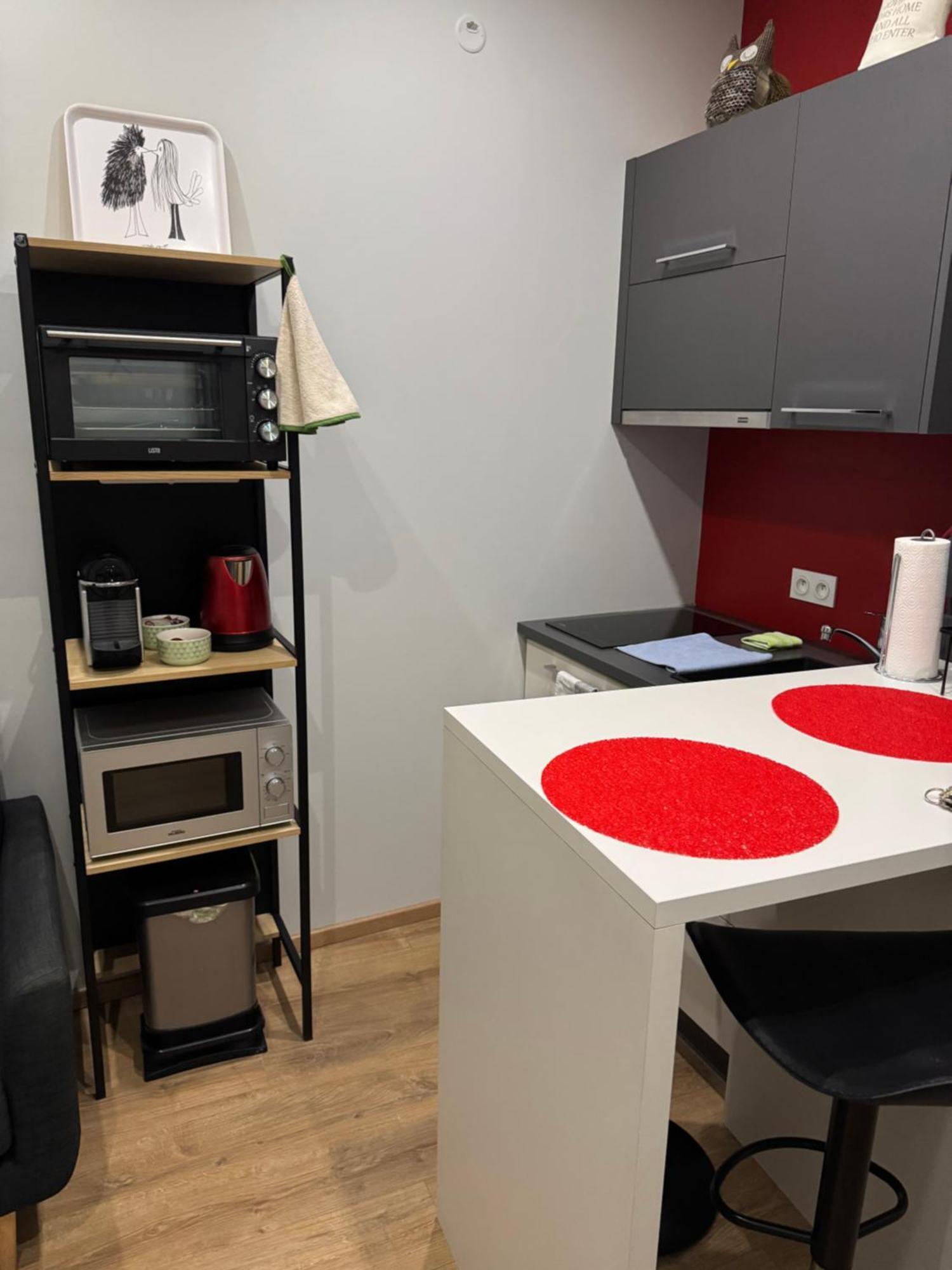Les Appartements De L'Epine 斯特拉斯堡 外观 照片