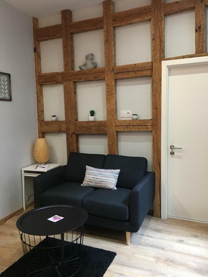 Les Appartements De L'Epine 斯特拉斯堡 外观 照片